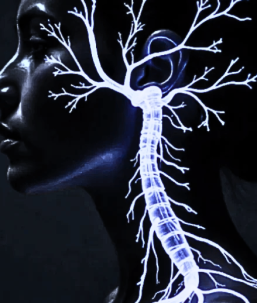 cropped-Untitled-design-15.png